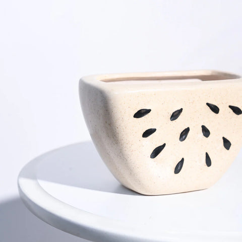 Watermelon Ceramic Planter