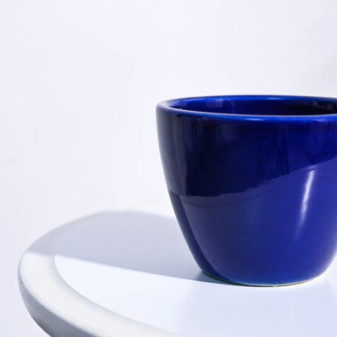 Boggy Ceramic Pot
