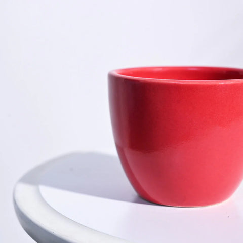 Boggy Ceramic Pot