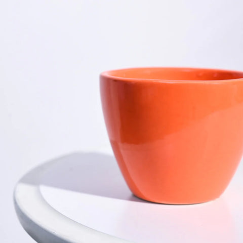 Boggy Ceramic Pot