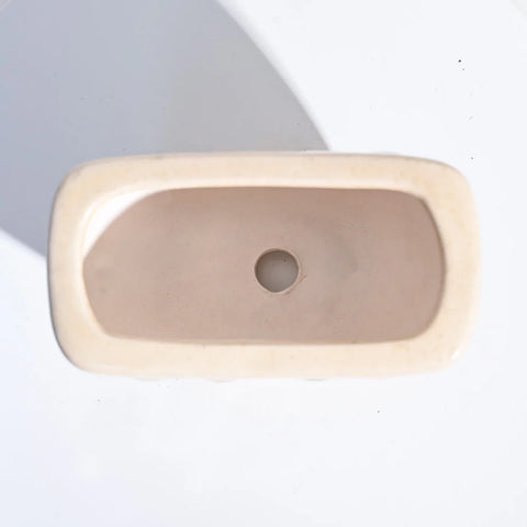 Watermelon Ceramic Planter