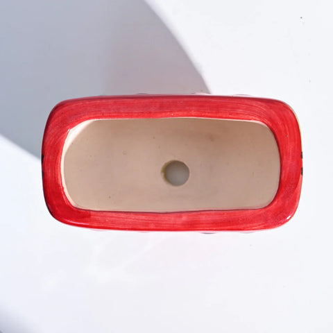 Watermelon Ceramic Planter