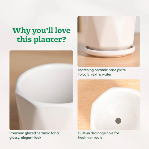 Diamond Ceramic Pot