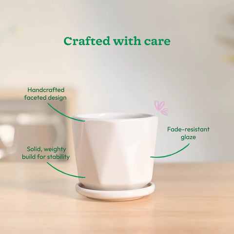 Diamond Ceramic Pot