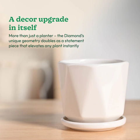 Diamond Ceramic Pot