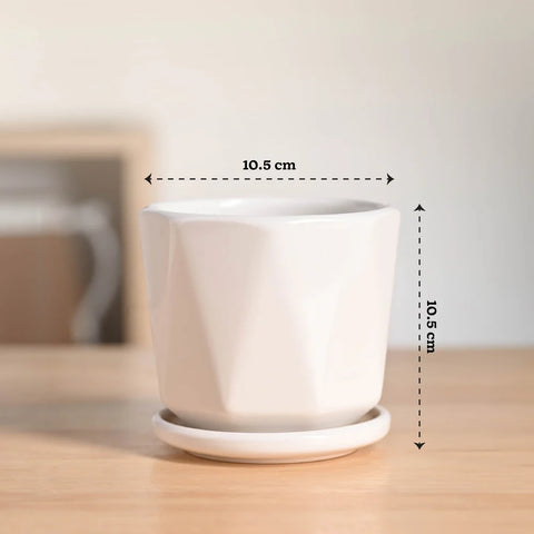 Diamond Ceramic Pot