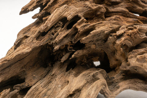 Dragon Wood