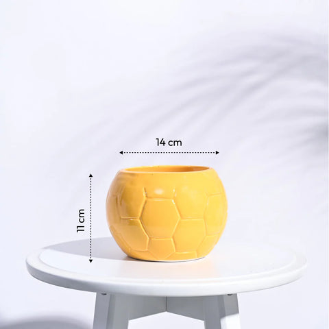 Football Ceramic Pot
