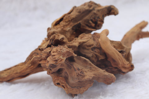 Malaysian Driftwood