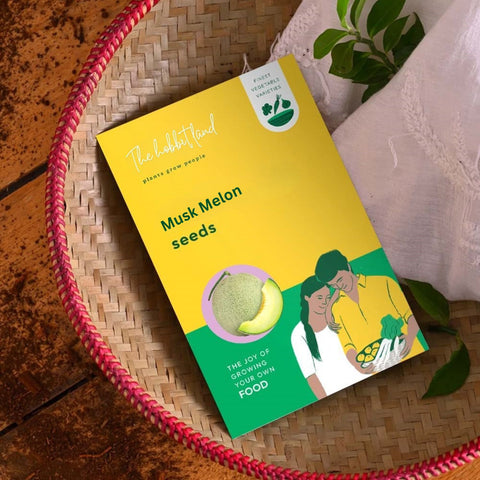 Musk Melon