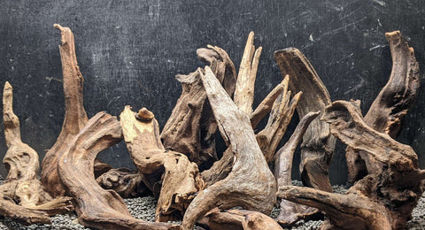 Malaysian Driftwood