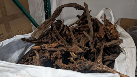 Malaysian Driftwood