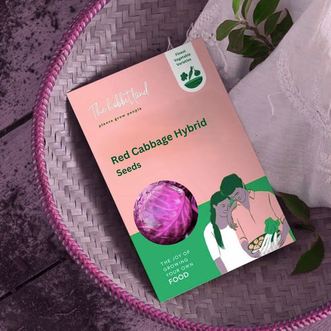 Red Cabbage