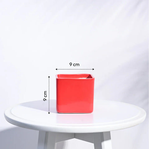 Square Ceramic Pot