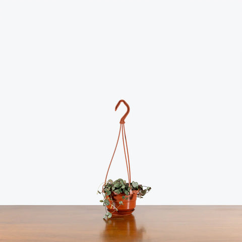 String of Hearts