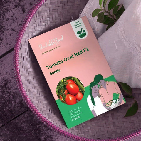 Tomato Oval Red F1