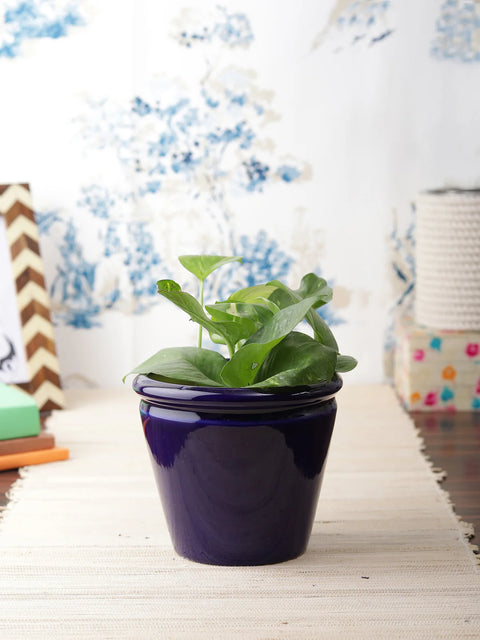 Glossy Blue Tapper Ceramic Pot