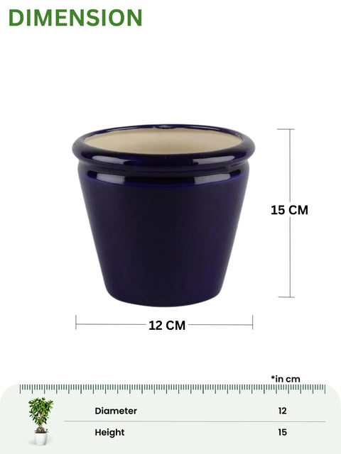 Glossy Blue Tapper Ceramic Pot