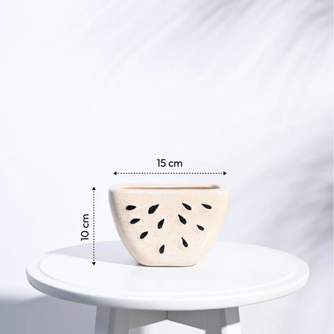 Watermelon Ceramic Planter