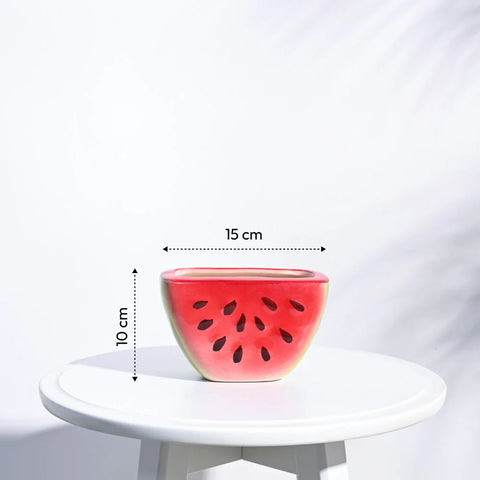 Watermelon Ceramic Planter