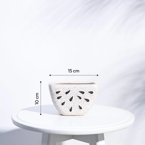 Watermelon Ceramic Planter