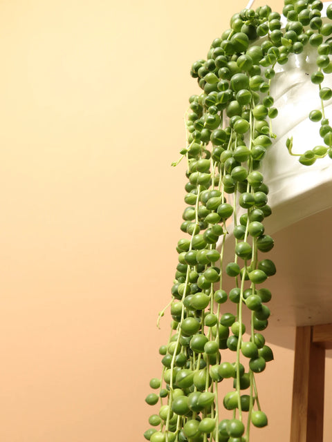 String of Pearls XL