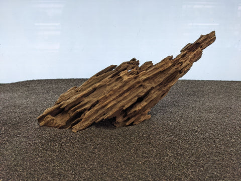 Dragon Wood