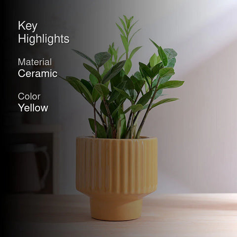 Immortal Nights Ceramic Pot