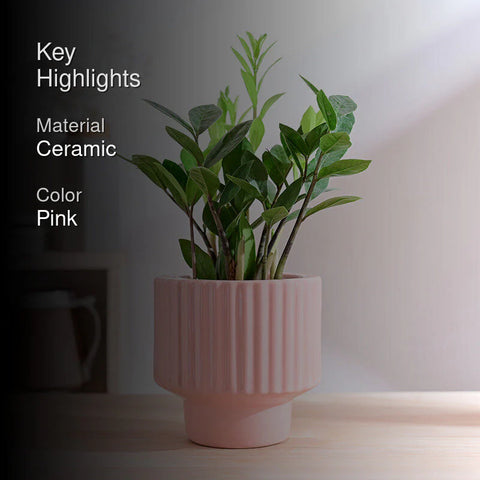 Immortal Nights Ceramic Pot