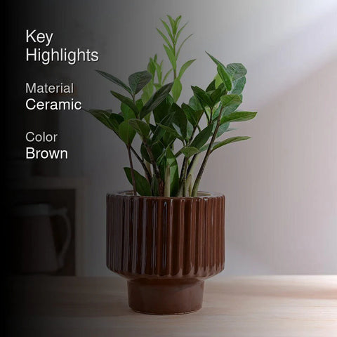 Immortal Nights Ceramic Pot