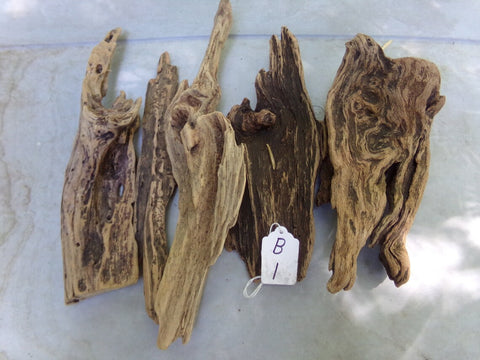Dragon Wood