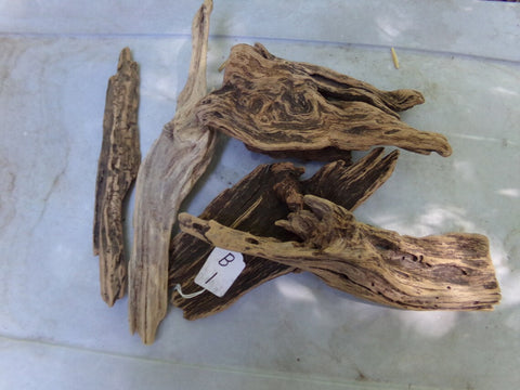 Dragon Wood