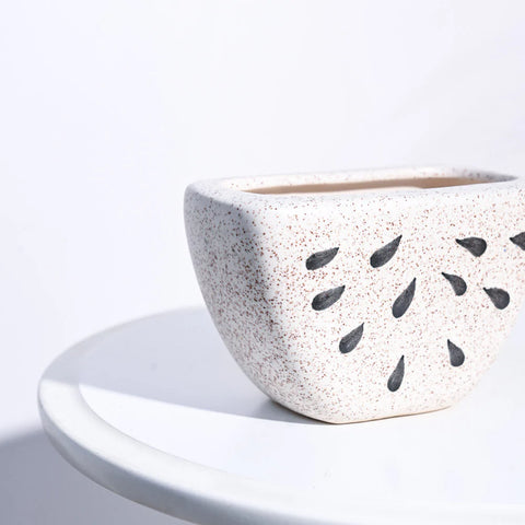 Watermelon Ceramic Planter